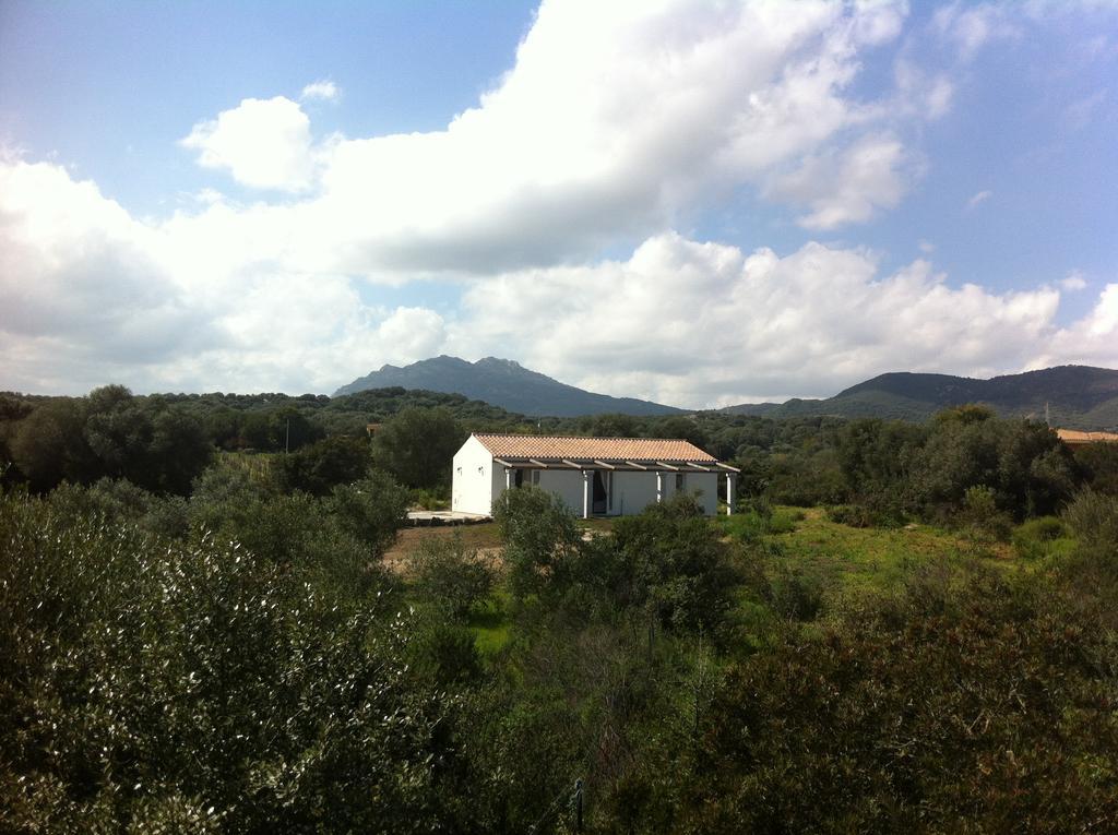 Bed and Breakfast Nacchinono Olbia Exteriér fotografie